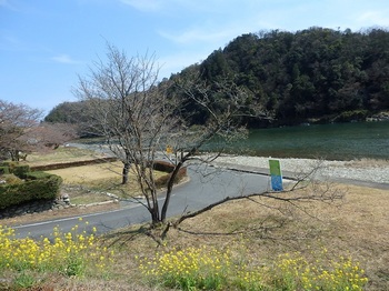 鮎之瀬橋9.JPG